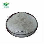 Gibberellic Acid GA3 - 90%TC PGR Send to Spain Plant Growth Regulator