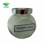 Abscisic Acid S-ABA - 90%TC Plant Growth Regulator Agriculture