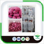 Rat Poison Block - Bait in Color Box Mouse Rodenticide Pest Control