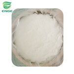 Creatine Monohydrate - 99.5% 500 Mesh China Factory Fine Powder