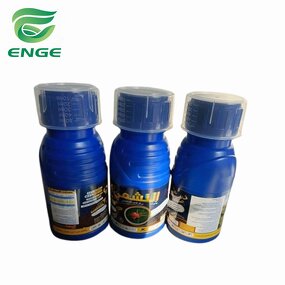 Ethiprole Insecticide - 200g/L SC 96%TC Paddy Field Factory Price