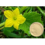 Amino Acid Chelate Powder Manufacturer