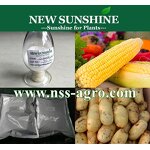 Gibberellic Acid Manufacturer - GA3 90% TC Plant Growth Regulator CAS 77-06-