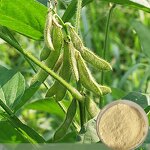 Amino Acid Chelate Powder Manufacturer