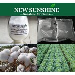 Triacontanol Powder Manufacturer - Natural PGR with High Purity