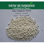 Zinc Sulphate Fertilizer Manufacturer - Hepta / Mono Grade for Agriculture Professional