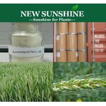 Acetamiprid Manufacturer - Pesticide Technical 97% 96% TC