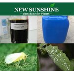 Abamectin Manufacturer - 1.8% EC Pesticide Agrochemical