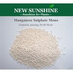 Manganese Sulphate Manufacturer - Monohydrate Agriculture Grade Feed Additives
