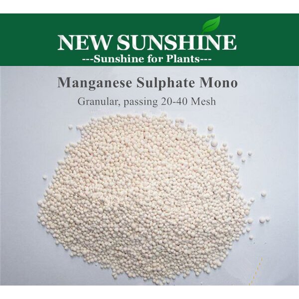 Manganese Sulphate Manufacturer - Monohydrate Agriculture Grade Feed Additives