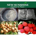 Paclobutrazol Manufacturer - Plant Hormone CAS 76738-62-0