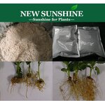 Plant Hormone Manufacturer - IAA 99% TC Auxin Best Quality