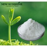 Plant Hormone Manufacturer - 6BAP 6BA Cytokinin