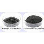 Seaweed Extract Manufacturer - Water Soluble Organic Fertilizer Powder Flake