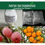 Triacontanol Powder Manufacturer - Natural PGR with High Purity