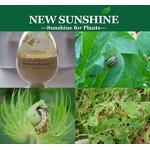 Emamectin Benzoate Manufacturer - 90% 70% TC 30% 20% 10% WDG 5% SG Price