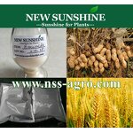 Brassinolide Manufacturer - Natural 90% TC & Mixed Epibrassinolide