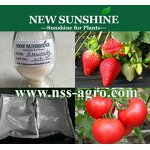 Brassinolide Manufacturer - Natural 90% TC & Mixed Epibrassinolide