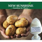 Plant Hormone Manufacturer - 98% TC DCPTA High Effect