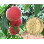 Chelated Magnesium Fertilizer Manufacturer - EDTA-Mg 6%