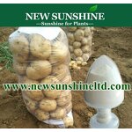 Plant Hormone Manufacturer - 98% TC DCPTA High Effect