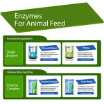 Glucose Oxidase Enzyme - Feed Grade Aflatoxin Degrading Mycotoxin Biodegradation
