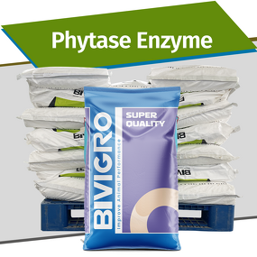 Phytase Feed Enzyme - Powder Granule Anti Heat Resistance Competitive Price