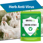 Herb Star Extract - Echinacea Poultry Anti Respiratory Virus Supplement