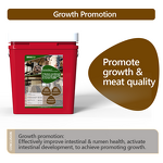 Rumenstar Regulator - Microencapsulated Herb Yeast Probiotic Cattle Sheep Growth