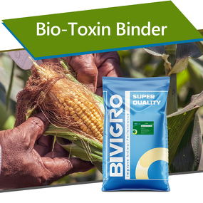 MolBond Toxin Binder - Bentonite Yeast MOS Glucose Oxidase Aflatoxin Biodegrade