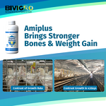 Amino Acid Chelated Minerals - Liquid Poultry Organic Nutrition Growth Egg Stimulant