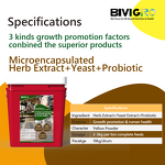 Rumenstar Regulator - Microencapsulated Herb Yeast Probiotic Cattle Sheep Growth