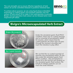 Microcapsulated Thyme Extract - Feed Grade Thymol Enteric Coated Animal Performance