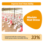 Vitato Poultry Supplement - Taurine Vitamin C Anti Heat Stress for Chicken