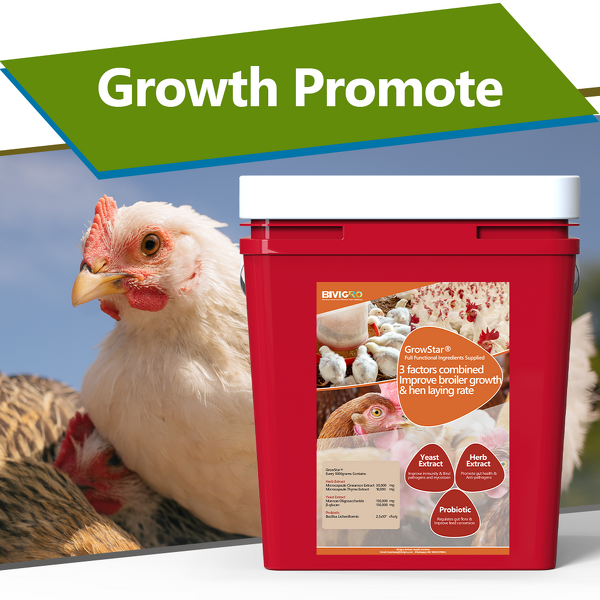 Growstar Poultry Supplement - Microencapsulated Herb Yeast Probiotic Growth Egg Boost