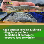 Cinnamon Oregano Oil Extract - Aquatic Fish Crab Shrimp Growth Weight Gain Enteritis