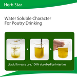 Herb Star Extract - Echinacea Poultry Anti Respiratory Virus Supplement