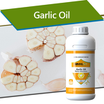 Garlic Oil Extract - Allicin Nano Emulsion Poultry Gut Health Antibacterial