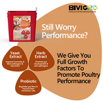 Growstar Poultry Supplement - Microencapsulated Herb Yeast Probiotic Growth Egg Boost