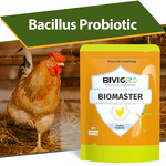 Bacillus Subtilis Probiotic - Water Soluble Poultry Egg Improvement Broiler Growth