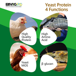 Brewers Yeast Powder - Feed Grade Single Cell Protein Poultry Pig Fish Shrimp