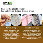 Clostridium Butyricum Probiotic - Shrimp Penaeus Vannamei Black Tiger Prawn Gut Health