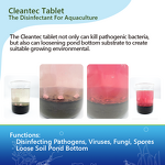 Aquaculture Disinfectant Tablet - Potassium Peroxymonosulfate Fish Shrimp Pond Clean