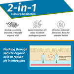 Clostridium Butyricum Probiotic - Feed Grade Poultry Chicken Gut Health Flora Regulation