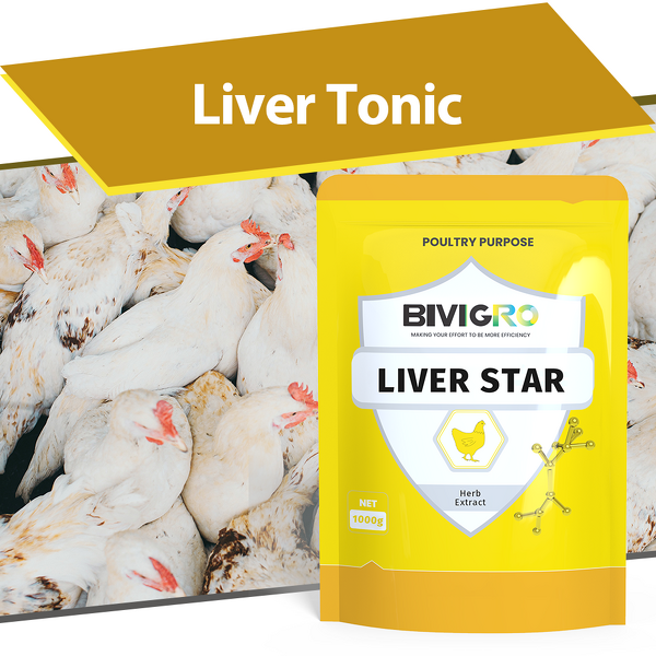 Liver Star Supplement - Milk Thistle Silybum Poultry Liver Protect Recovery