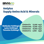 Amino Acid Chelated Minerals - Liquid Poultry Organic Nutrition Growth Egg Stimulant