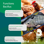 Bacillus Licheniformis Probiotic - Feed Grade Poultry Pig Cattle Fish Shrimp
