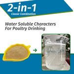 Clostridium Butyricum Probiotic - Feed Grade Poultry Chicken Gut Health Flora Regulation