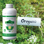 Oregano Oil Extract - Carvacrol Nano Emulsion Poultry Gut Health Antibacterial