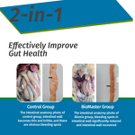 Clostridium Butyricum Probiotic - Feed Grade Poultry Chicken Gut Health Flora Regulation